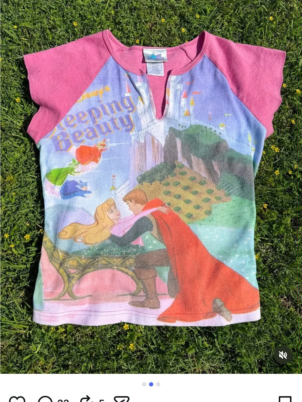 Y2K Disneyland Resort Raglan Tees